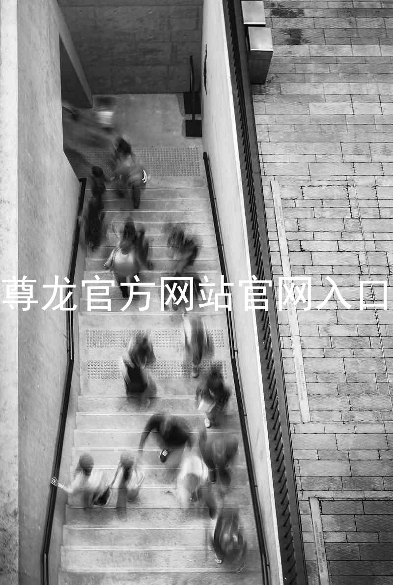 尊龙官方网站官网入口