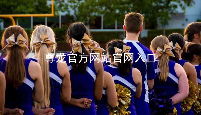 尊龙官方网站官网入口